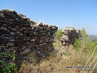 n Michele Forza Agro-13-08-2020 14